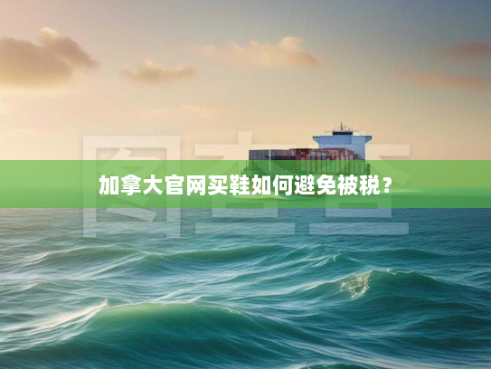 加拿大官网买鞋如何避免被税? 加拿大官网买鞋如何避免被税?