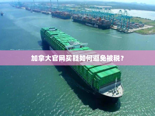 加拿大官网买鞋如何避免被税? 加拿大官网买鞋如何避免被税?