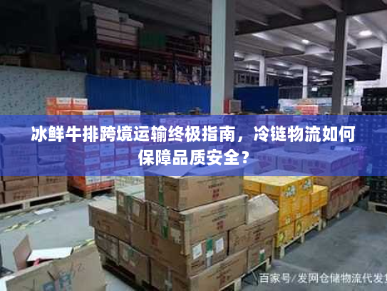 冰鲜牛排跨境运输终极指南，冷链物流如何保障品质安全？