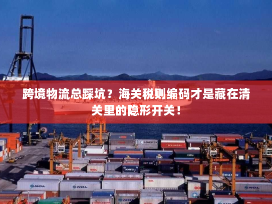 跨境物流总踩坑?海关税则编码才是藏在清关里的隐形开关! 跨境物流总踩坑?海关税则编码才是藏在清关里的隐形开关!