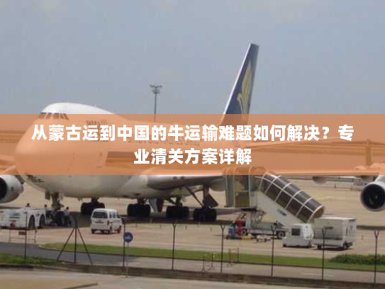 从蒙古运到中国的牛运输难题如何解决？专业清关方案详解