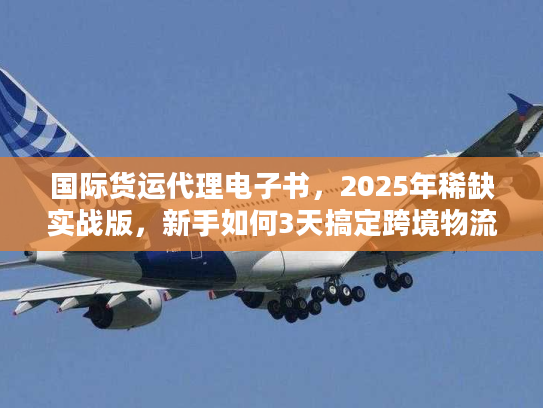 国际货运代理电子书，2025年稀缺实战版，新手如何3天搞定跨境物流全流程？