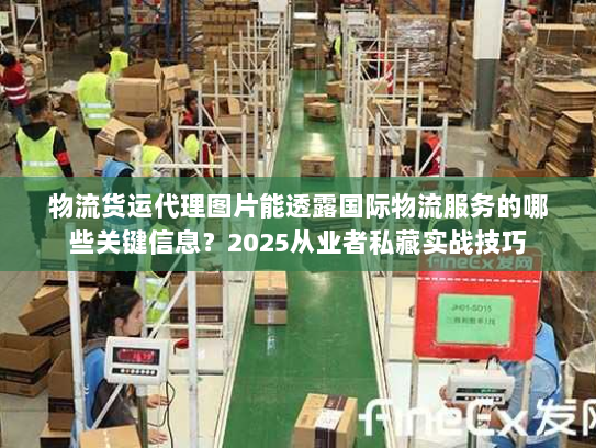 物流货运代理图片能透露国际物流服务的哪些关键信息？2025从业者私藏实战技巧