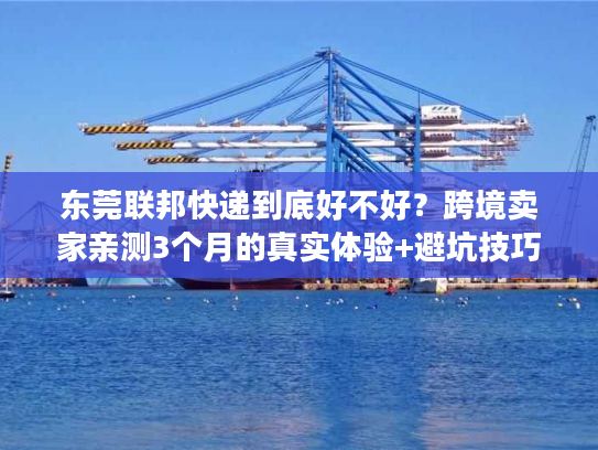东莞联邦快递到底好不好?跨境卖家亲测3个月的真实体验+避坑技巧 东莞联邦快递到底好不好?跨境卖家亲测3个月的真实体验+避坑技巧