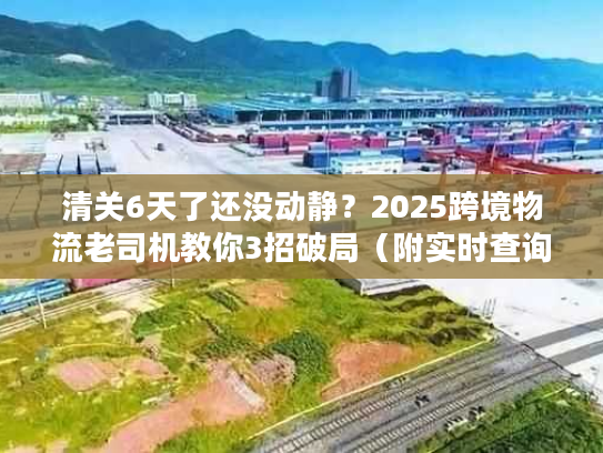 清关6天了还没动静？2025跨境物流老司机教你3招破局（附实时查询工具）