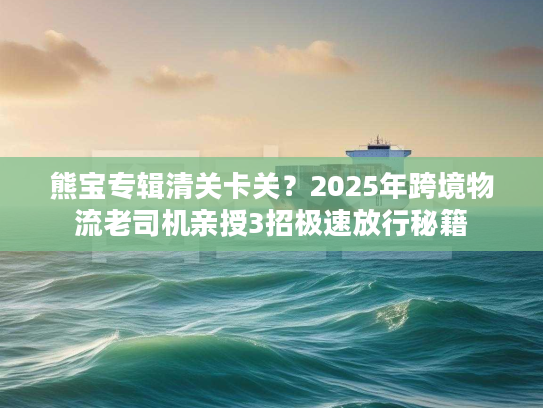 熊宝专辑清关卡关？2025年跨境物流老司机亲授3招极速放行秘籍