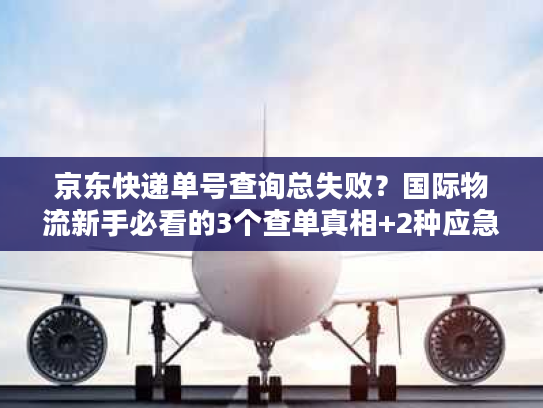京东快递单号查询总失败？国际物流新手必看的3个查单真相+2种应急方案