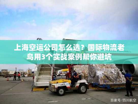 上海空运公司怎么选？国际物流老鸟用3个实战案例帮你避坑