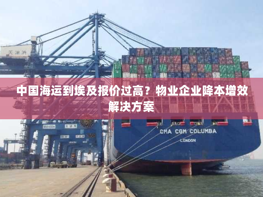 中国海运到埃及报价过高？物业企业降本增效解决方案