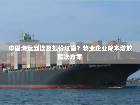 中国海运到埃及报价过高？物业企业降本增效解决方案