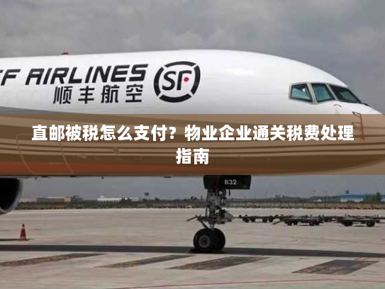 直邮被税怎么支付?物业企业通关税费处理指南 直邮被税怎么支付?物业企业通关税费处理指南