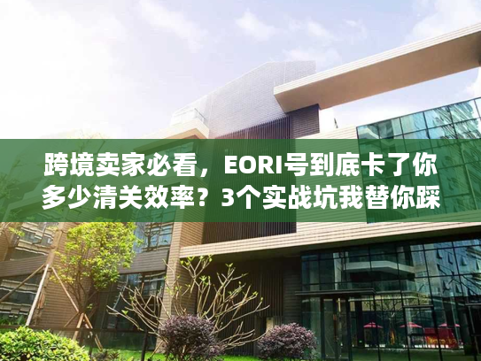 跨境卖家必看,EORI号到底卡了你多少清关效率?3个实战坑我替你踩过了 跨境卖家必看,EORI号到底卡了你多少清关效率?3个实战坑我替你踩过了
