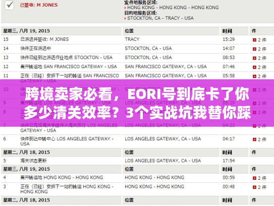 跨境卖家必看,EORI号到底卡了你多少清关效率?3个实战坑我替你踩过了 跨境卖家必看,EORI号到底卡了你多少清关效率?3个实战坑我替你踩过了