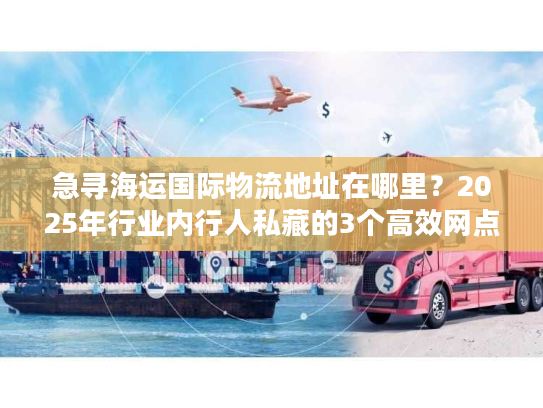 急寻海运国际物流地址在哪里？2025年行业内行人私藏的3个高效网点