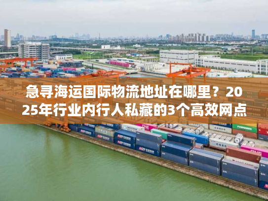急寻海运国际物流地址在哪里？2025年行业内行人私藏的3个高效网点