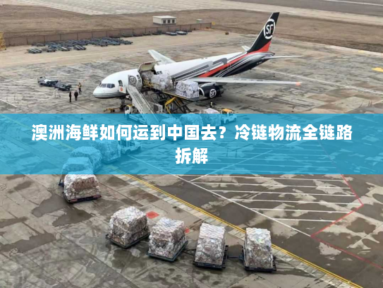 澳洲海鲜如何运到中国去?冷链物流全链路拆解 澳洲海鲜如何运到中国去?冷链物流全链路拆解