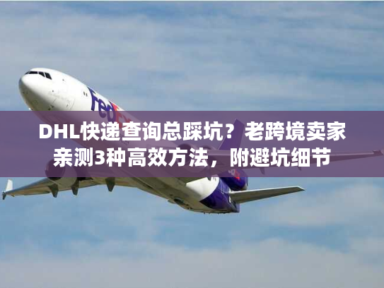 DHL快递查询总踩坑？老跨境卖家亲测3种高效方法，附避坑细节