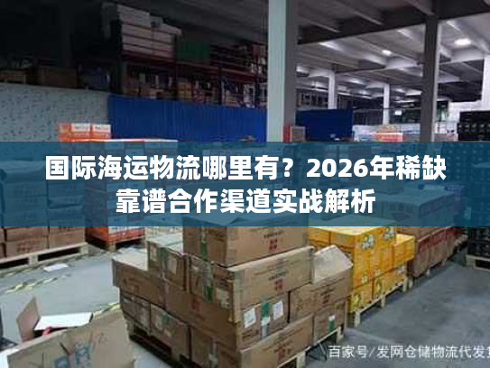 国际海运物流哪里有？2026年稀缺靠谱合作渠道实战解析