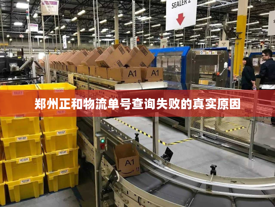 郑州正和物流单号查询失败的真实原因 郑州正和物流单号查询失败的真实原因