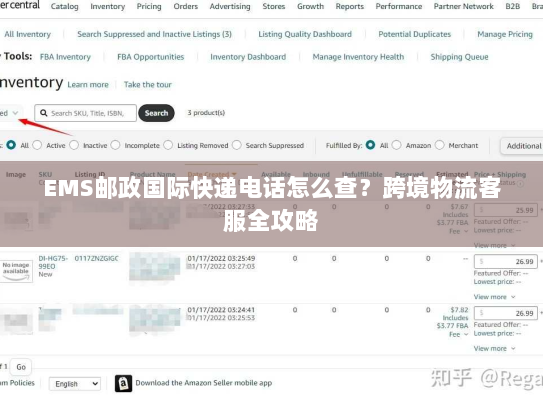 EMS邮政国际快递电话怎么查？跨境物流客服全攻略