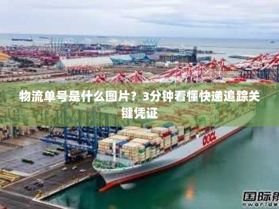 物流单号是什么图片？3分钟看懂快递追踪关键凭证