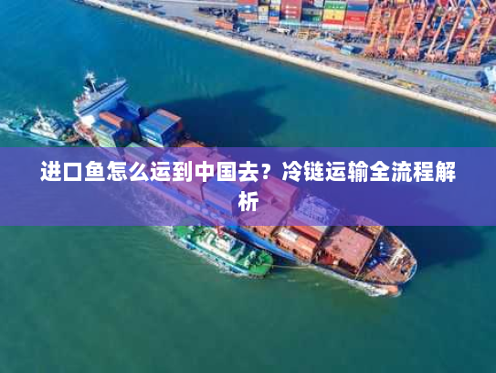 进口鱼怎么运到中国去?冷链运输全流程解析 进口鱼怎么运到中国去?冷链运输全流程解析