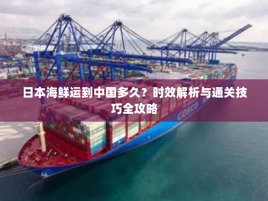 日本海鲜运到中国多久？时效解析与通关技巧全攻略
