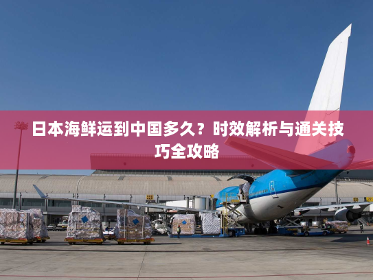日本海鲜运到中国多久？时效解析与通关技巧全攻略