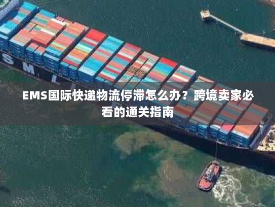 EMS国际快递物流停滞怎么办?跨境卖家必看的通关指南 EMS国际快递物流停滞怎么办?跨境卖家必看的通关指南
