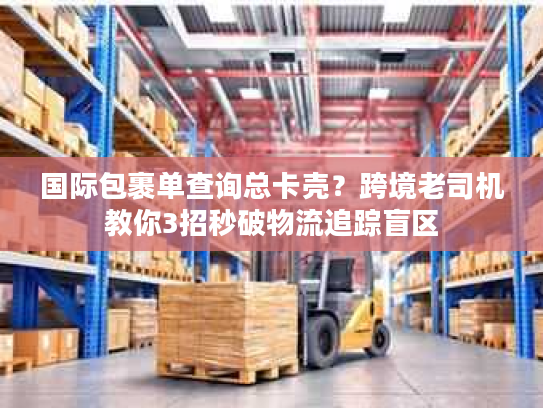 国际包裹单查询总卡壳？跨境老司机教你3招秒破物流追踪盲区