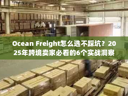 Ocean Freight怎么选不踩坑？2025年跨境卖家必看的6个实战洞察