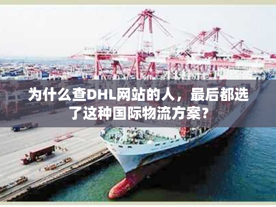 为什么查DHL网站的人，最后都选了这种国际物流方案？