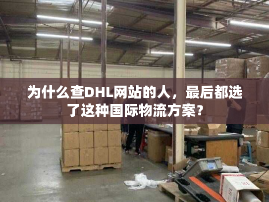 为什么查DHL网站的人，最后都选了这种国际物流方案？