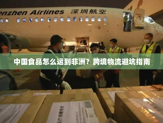 中国食品怎么运到非洲?跨境物流避坑指南 中国食品怎么运到非洲?跨境物流避坑指南
