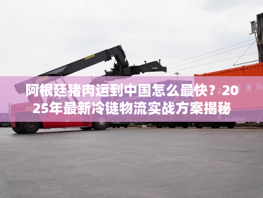 阿根廷猪肉运到中国怎么最快？2025年最新冷链物流实战方案揭秘
