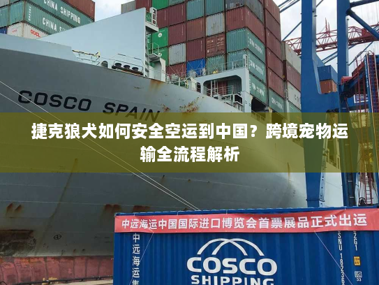 捷克狼犬如何安全空运到中国？跨境宠物运输全流程解析