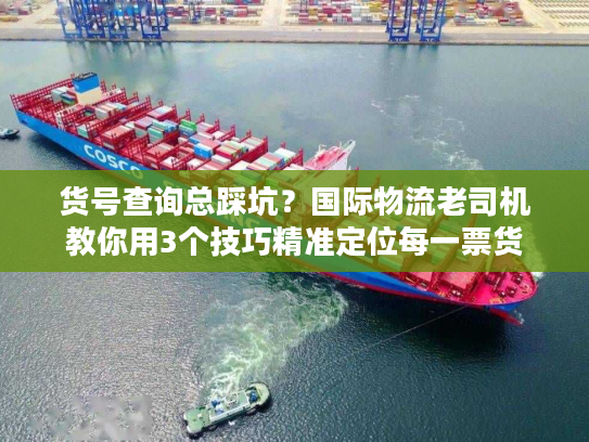 货号查询总踩坑？国际物流老司机教你用3个技巧精准定位每一票货