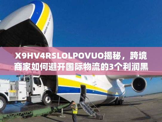 X9HV4RSLOLPOVUO揭秘，跨境商家如何避开国际物流的3个利润黑洞？