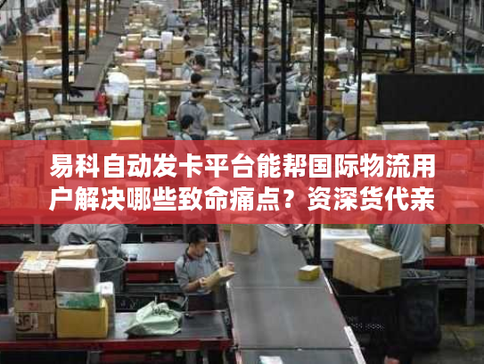 易科自动发卡平台能帮国际物流用户解决哪些致命痛点？资深货代亲测3个月的实战答案