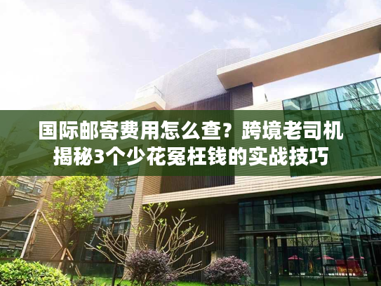国际邮寄费用怎么查?跨境老司机揭秘3个少花冤枉钱的实战技巧 国际邮寄费用怎么查?跨境老司机揭秘3个少花冤枉钱的实战技巧