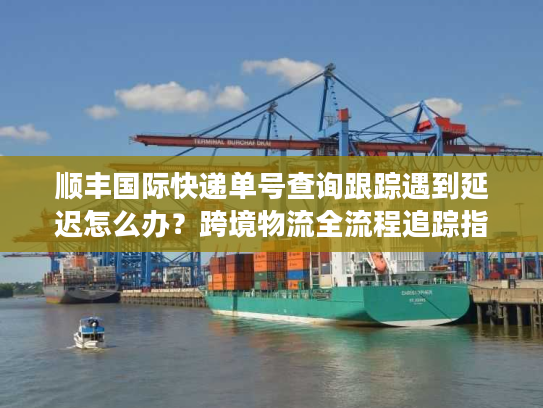 顺丰国际快递单号查询跟踪遇到延迟怎么办？跨境物流全流程追踪指南
