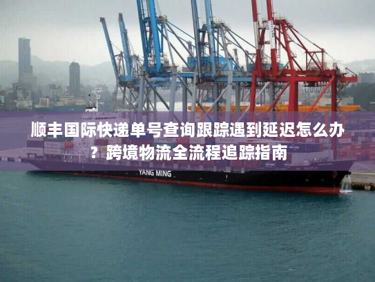 顺丰国际快递单号查询跟踪遇到延迟怎么办?跨境物流全流程追踪指南 顺丰国际快递单号查询跟踪遇到延迟怎么办?跨境物流全流程追踪指南