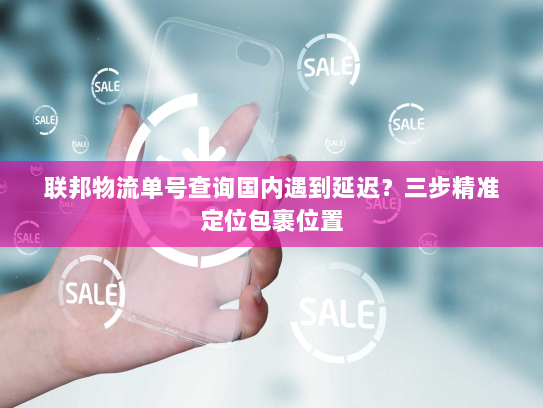 联邦物流单号查询国内遇到延迟?三步精准定位包裹位置 联邦物流单号查询国内遇到延迟?三步精准定位包裹位置