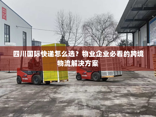 四川国际快递怎么选？物业企业必看的跨境物流解决方案