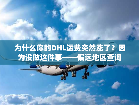 为什么你的DHL运费突然涨了？因为没做这件事——偏远地区查询