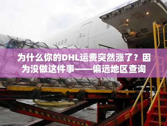 为什么你的DHL运费突然涨了？因为没做这件事——偏远地区查询