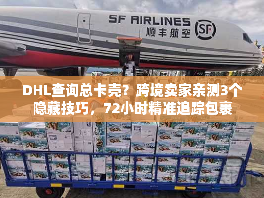 DHL查询总卡壳？跨境卖家亲测3个隐藏技巧，72小时精准追踪包裹