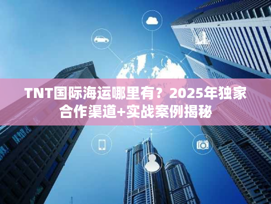 TNT国际海运哪里有？2025年独家合作渠道+实战案例揭秘