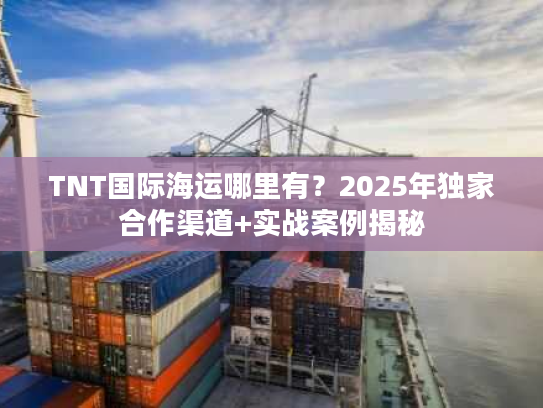 TNT国际海运哪里有？2025年独家合作渠道+实战案例揭秘