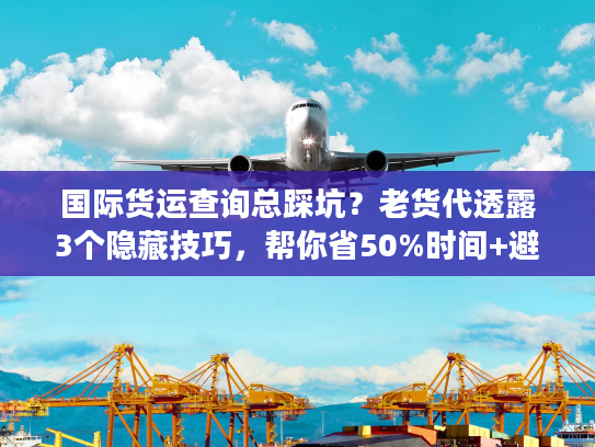 国际货运查询总踩坑？老货代透露3个隐藏技巧，帮你省50%时间+避免丢件